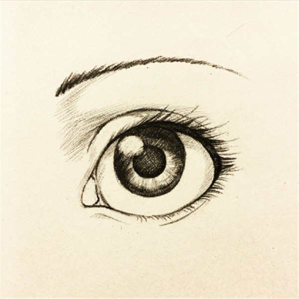 用钢笔画的眼睛