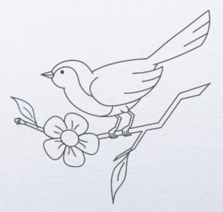 小鸟怎么画简单又漂亮?儿童画教程