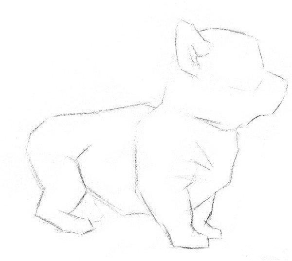 简单的素描小狗怎么画?小狗素描画法教程