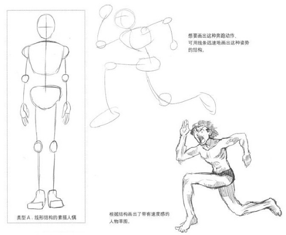 漫画入门：一组初学漫画人物结构图