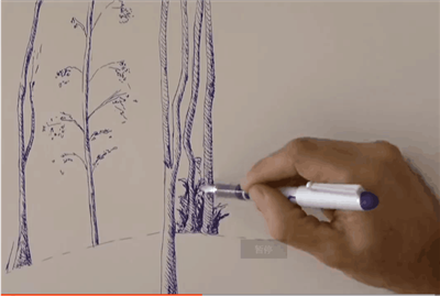 树怎么画?钢笔画森林视频教程