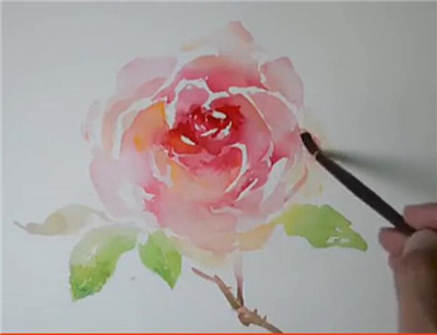 水彩画视频教程玫瑰花的具体画法步骤