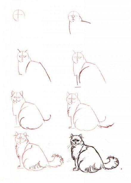 猫咪速写教程