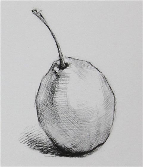 素描单体画法：梨子的具体画法步骤解析