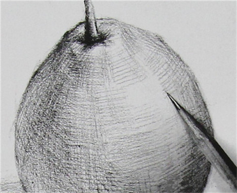 素描单体画法：梨子的具体画法步骤解析
