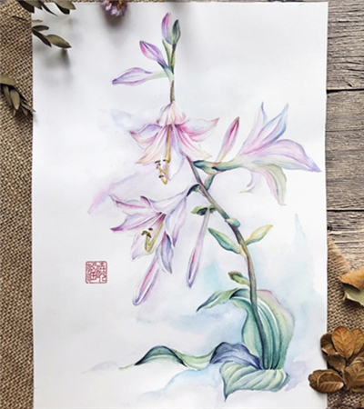 简单的水彩花卉步骤图：水彩画玉簪花 ​