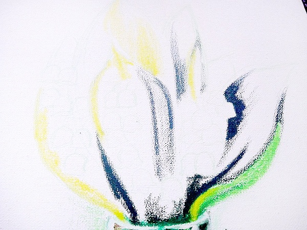 油画棒花卉教程：油画棒花卉画法