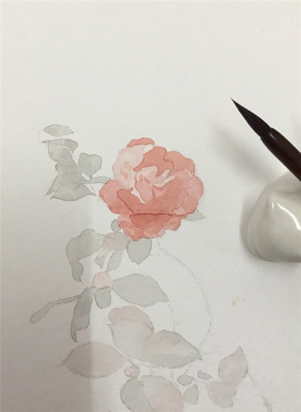 怎么用水彩画月季花?月季花水彩画画法