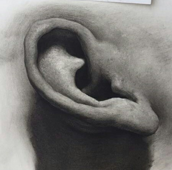 人物素描：素描耳朵的画法图解