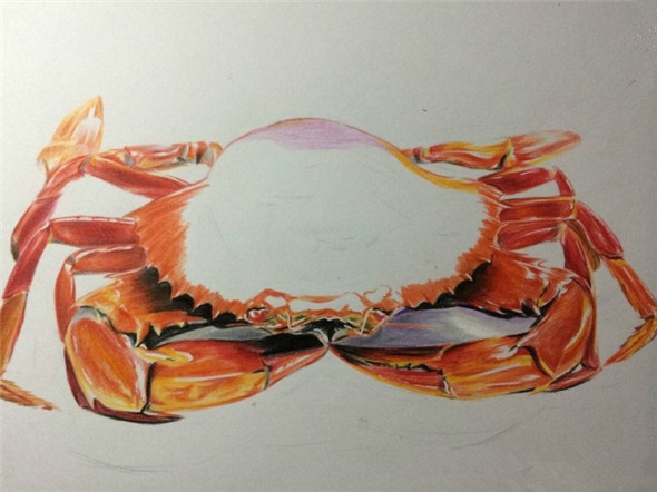 螃蟹怎么画?逼真的螃蟹彩铅画教程