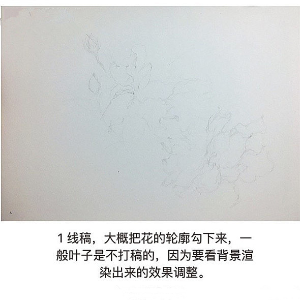 怎么画扶桑花?扶桑花水彩画教程