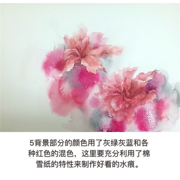 怎么画扶桑花?扶桑花水彩画教程