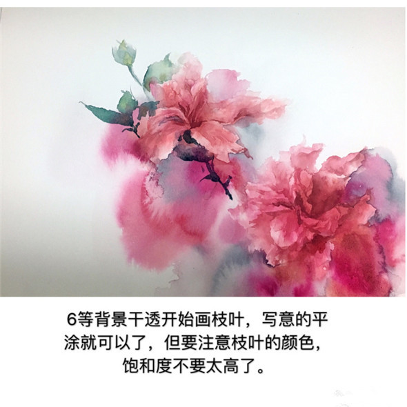 怎么画扶桑花?扶桑花水彩画教程