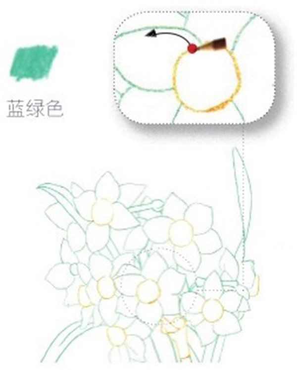 彩铅画花卉教程：彩铅画水仙花的画法