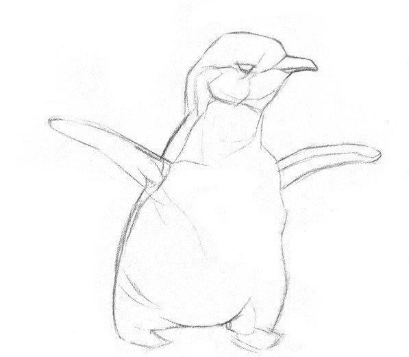 动物素描教程：素描画企鹅