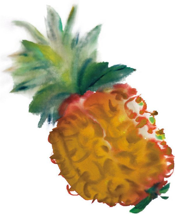 简单的国画教程：国画菠萝怎么画?