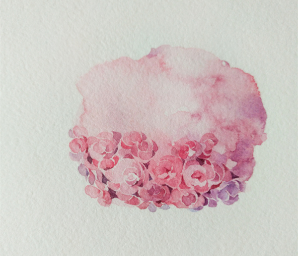 水彩花卉教程步骤图片：水彩画绣球花