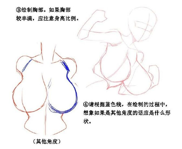 漫画教程：女性胸部的漫画画法