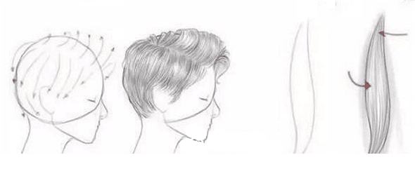 素描教程：头发的素描画画法精讲解析
