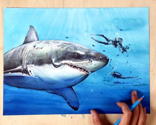 手绘插画教程：手绘凶猛鲨鱼