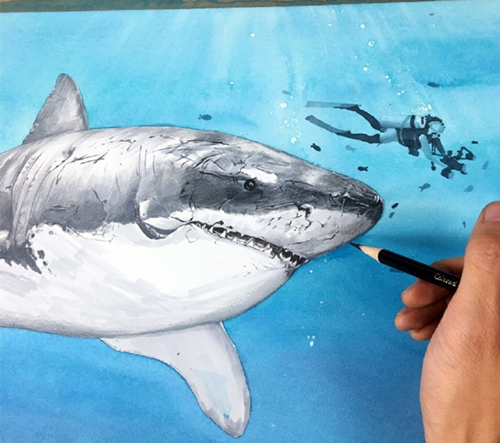手绘插画教程：手绘凶猛鲨鱼