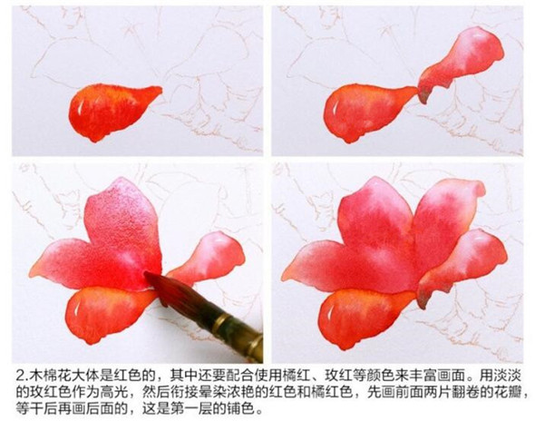 水彩画教程：教你画木棉花