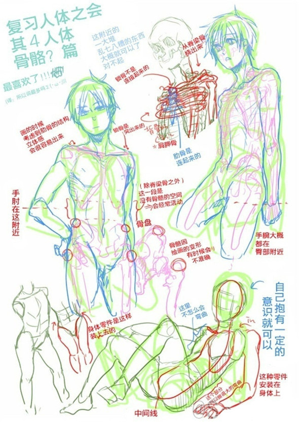 漫画教程：基础技法教你画人体的组成部分