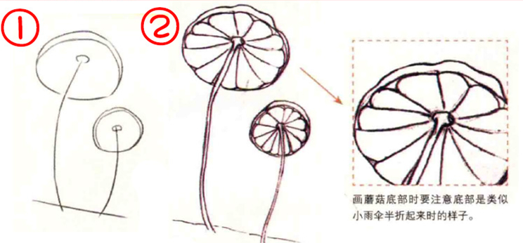 彩铅入门：彩铅画蘑菇教程