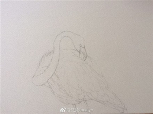 简单易学的水彩画火烈鸟教程
