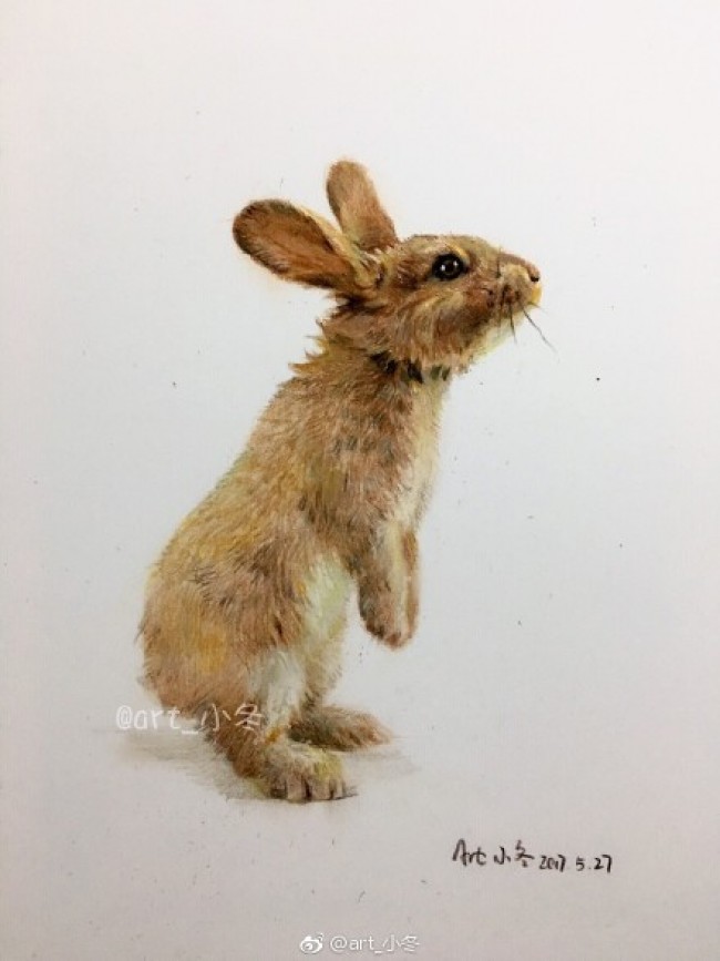 超简单的彩铅画兔子教程
