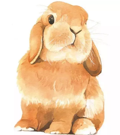 怎么用水彩画兔子?水彩画兔子步骤教程