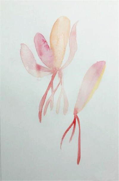 水彩画教程：简单的藏红花水彩画