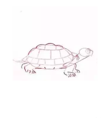 简笔画乌龟的画法