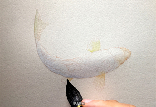 水彩画教程：水彩画锦鲤的画法