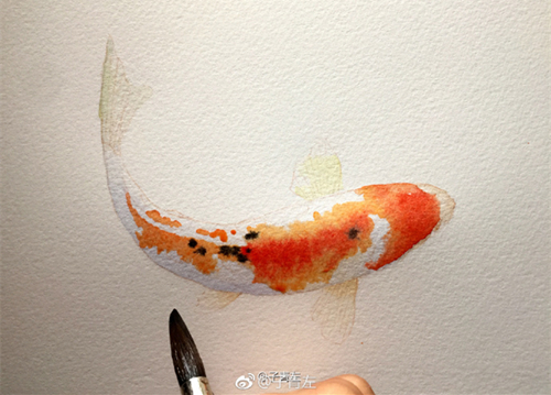 水彩画教程：水彩画锦鲤的画法