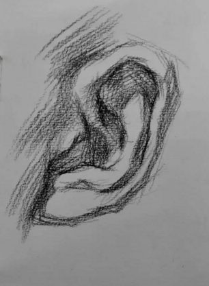素描耳朵的画法步骤图