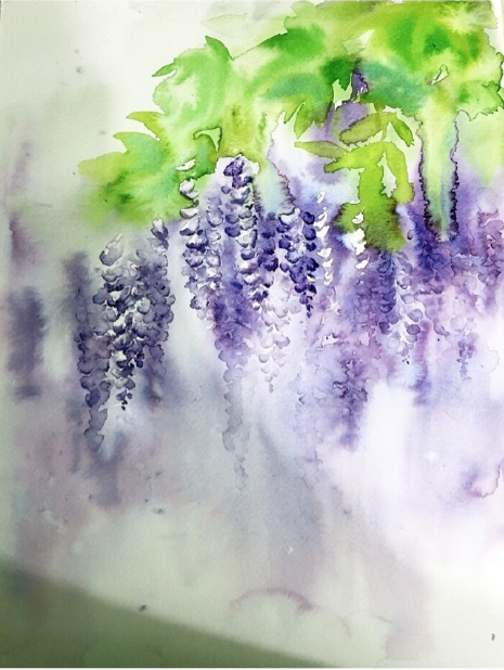 水彩花卉教程：水彩画紫藤萝的画法