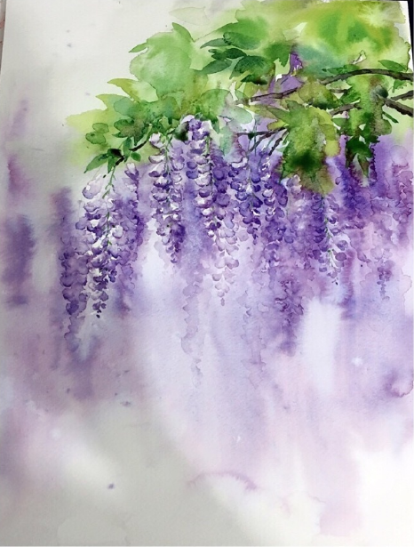 水彩花卉教程：水彩画紫藤萝的画法