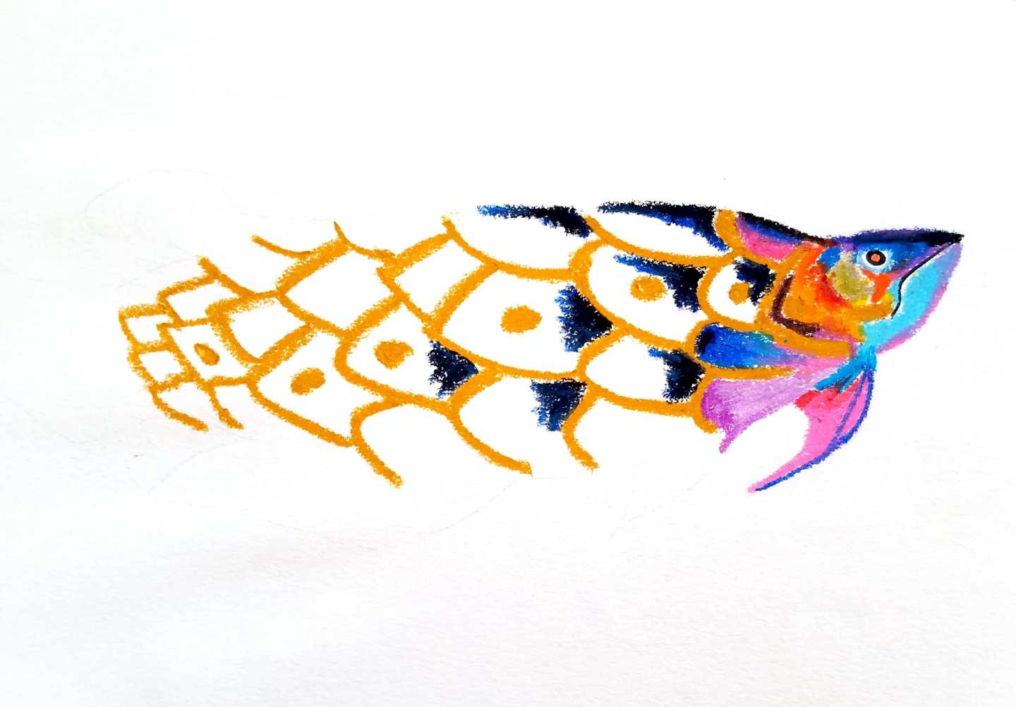 儿童画鱼怎么画?儿童画鱼的画法