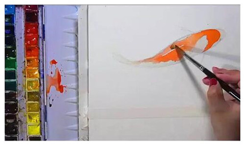 水彩画金鱼绘画步骤