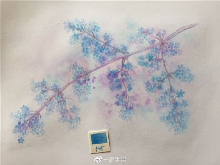水溶性彩铅教程：彩铅画花卉步骤图