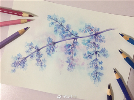 水溶性彩铅教程：彩铅画花卉步骤图