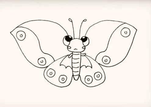 蝴蝶幼虫画法图片