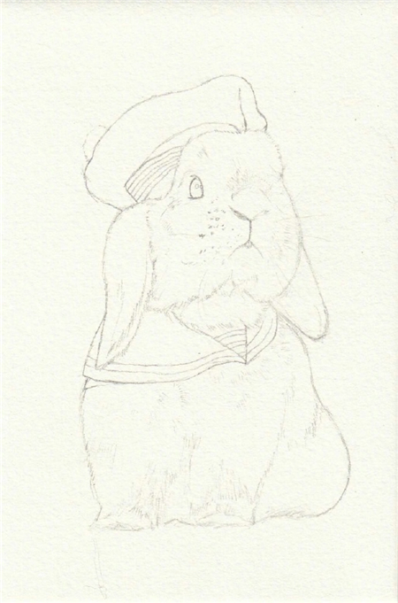 超萌的水彩画兔子教程