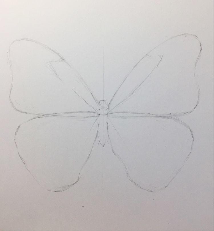 彩铅手绘蝴蝶教程图解