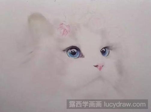 彩铅画布偶猫教程