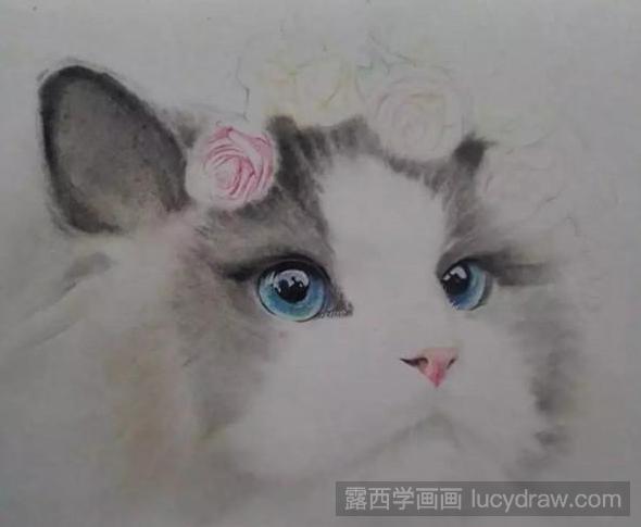 彩铅画布偶猫教程