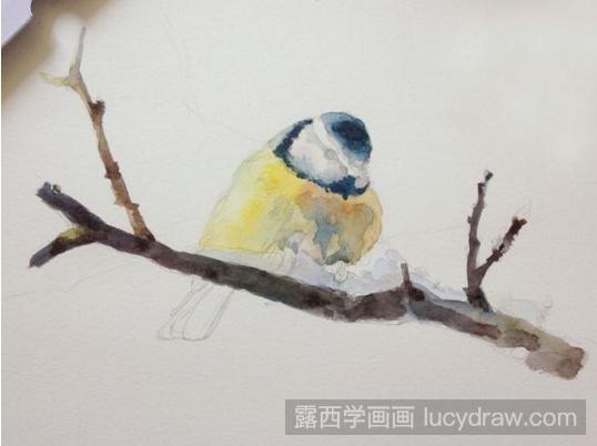 水彩画动物教程：水彩画小鸟