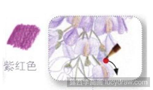 彩铅画紫藤花的画法