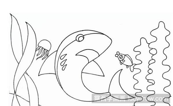 儿童画鲨鱼的画法步骤